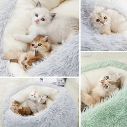 Cozy 2-in-1 Winter Plush Pet Bed – Warm Cat & Small Dog Cushion Nest