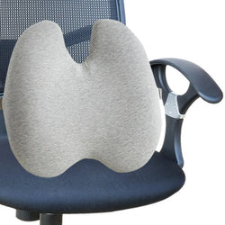 Orthopedic Back Cushion for Desk Chair Women & Men Memory Foam